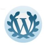 WordPress 1 Year